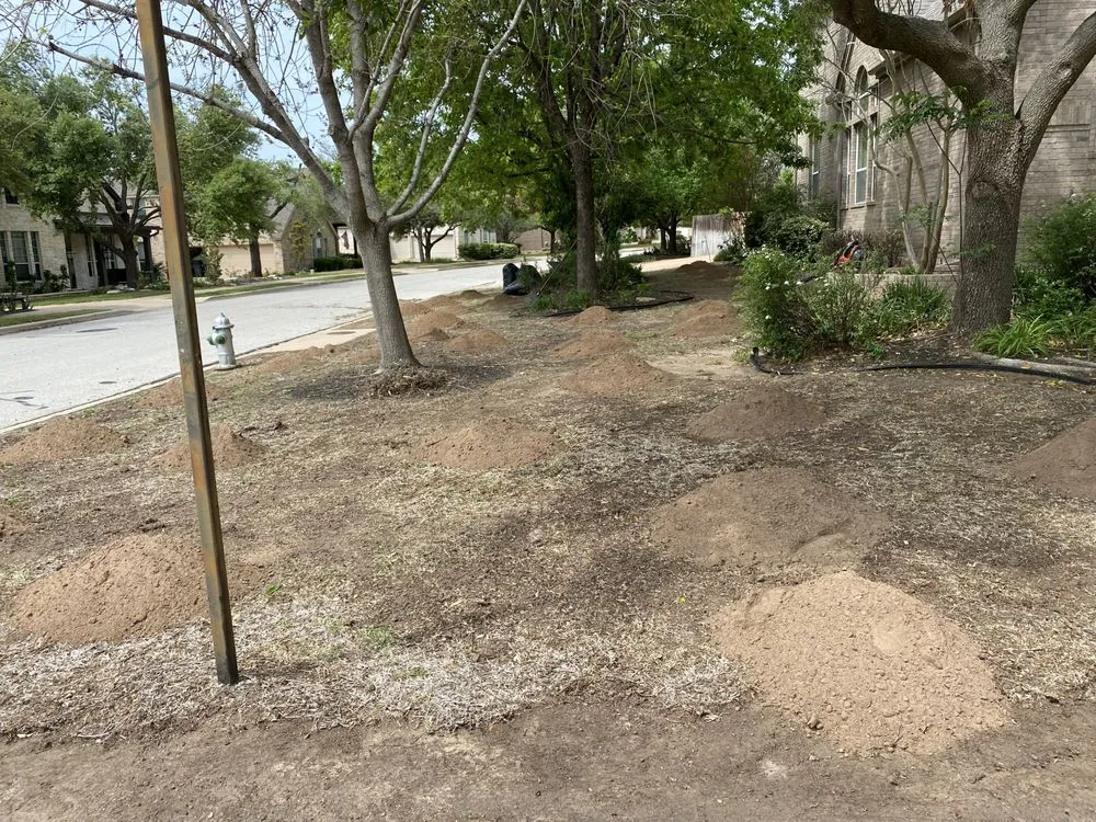 Local lawn care service with custom design in Austin, TX by Ramírez Landscaping