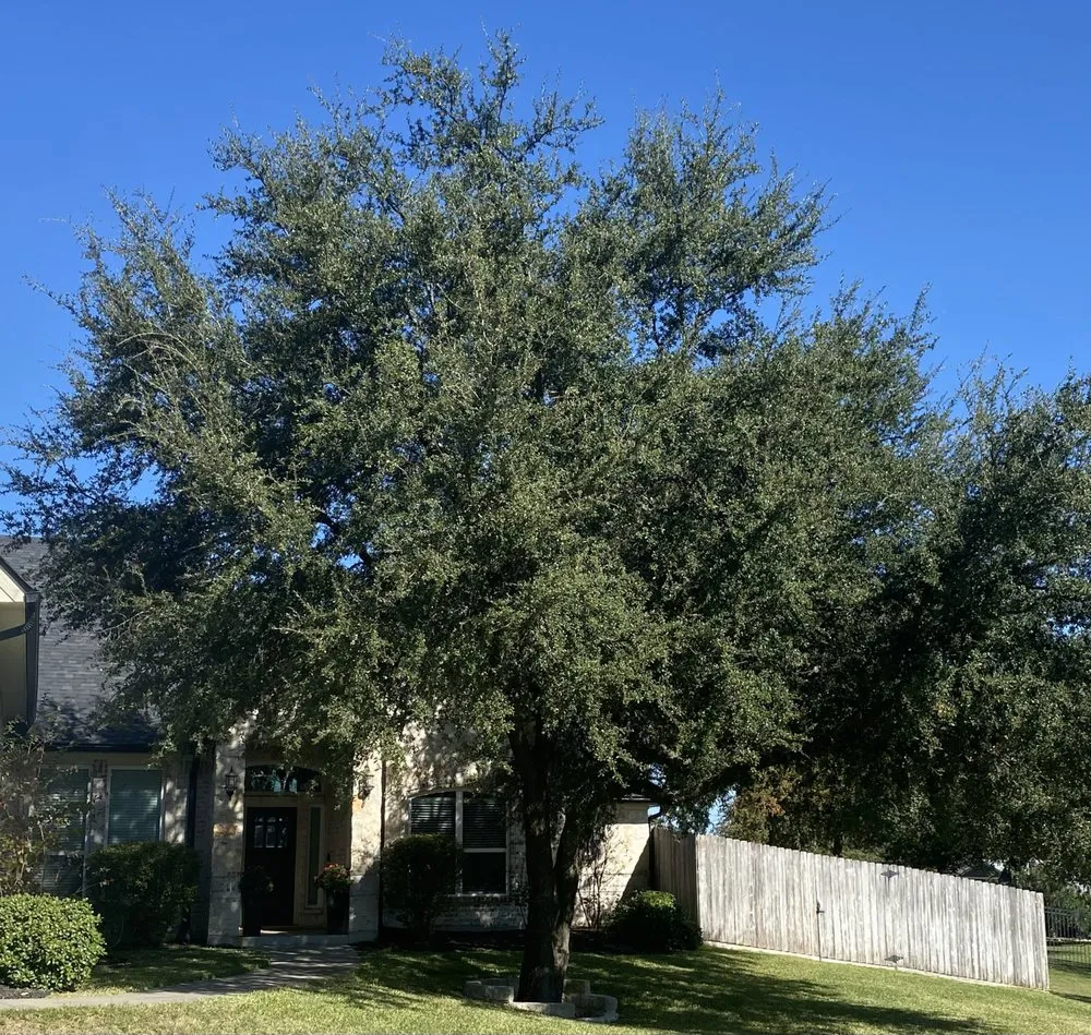 Reliable garden landscaping in Austin, TX - Ramírez Landscaping