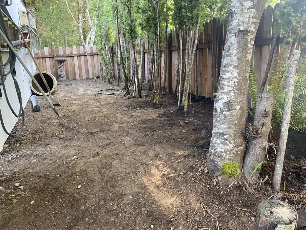 Custom landscaping services in Shelton, WA - Ramírez Landscaping