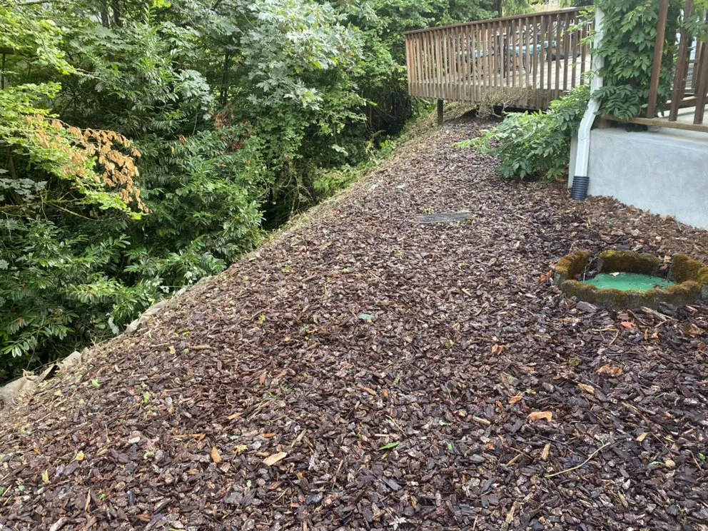 Local landscape design for outdoor upgrades across Shelton, WA - Ramírez Landscaping