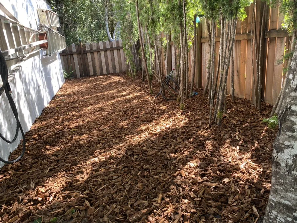 Expert residential landscaping for year-round maintenance in Shelton, WA by Ramírez Landscaping