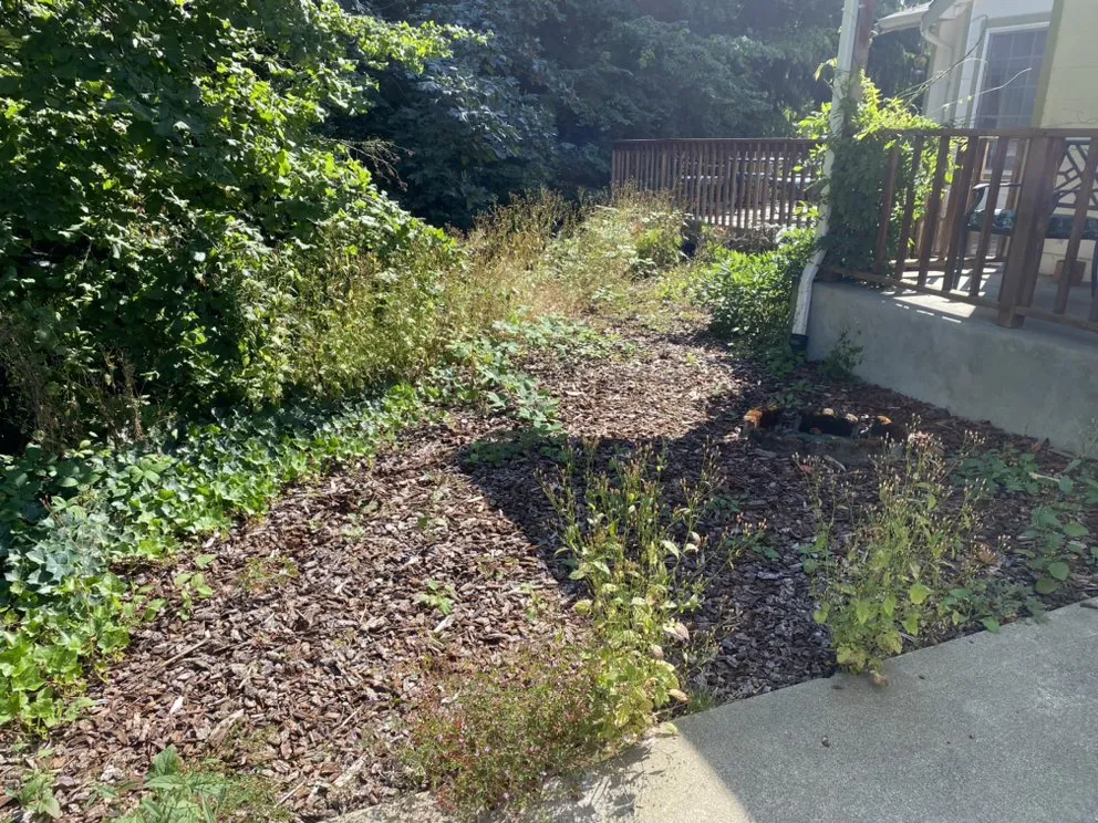 Top-rated outdoor landscaping experts serving Shelton, WA - Ramírez Landscaping