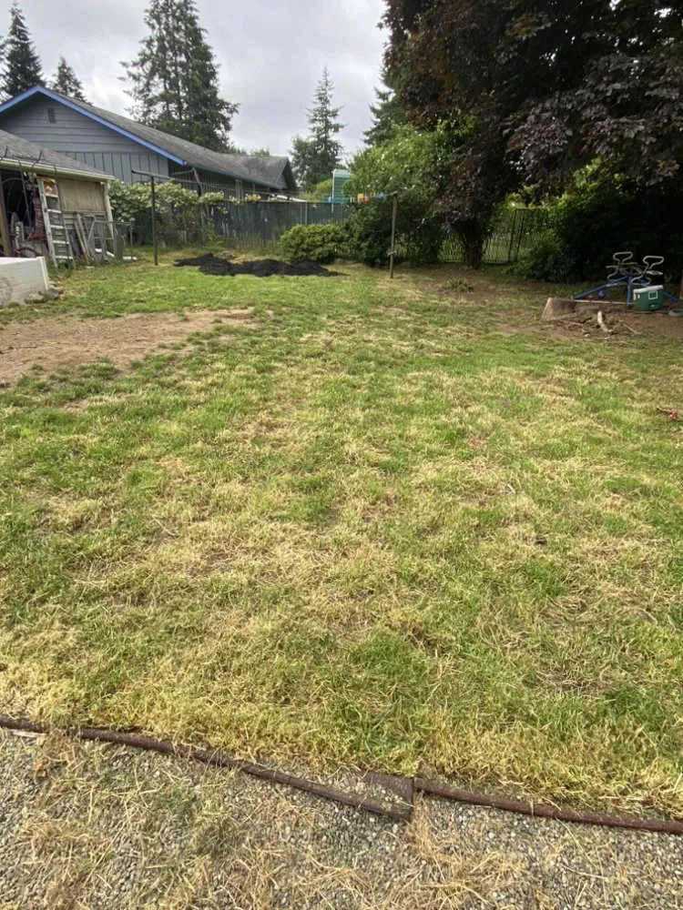 Affordable landscaping services in Shelton, WA by Ramírez Landscaping