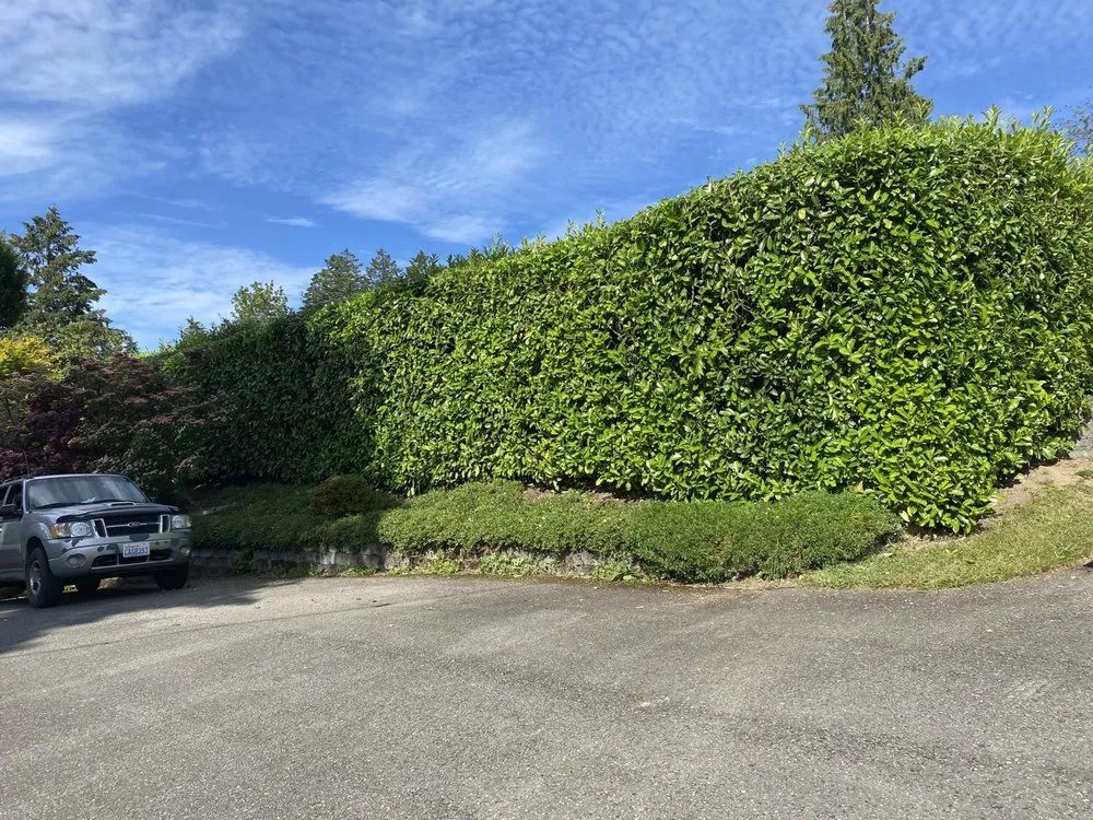 Trusted lawn mowing service with custom design in Shelton, WA by Ramírez Landscaping