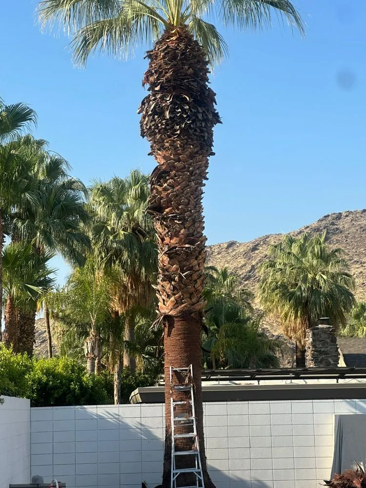 Top-rated landscape installation for outdoor upgrades across Thousand Palms, CA - Ramírez services