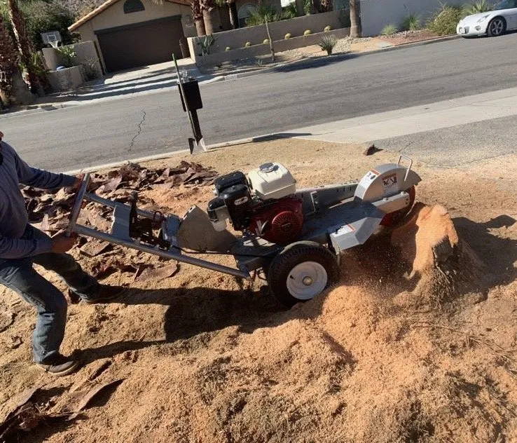 Custom residential landscaping for homes in Thousand Palms, CA by Ramírez services