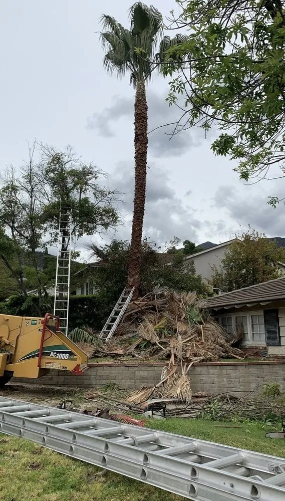 Top-rated landscape installation in Thousand Palms, CA by Ramírez services