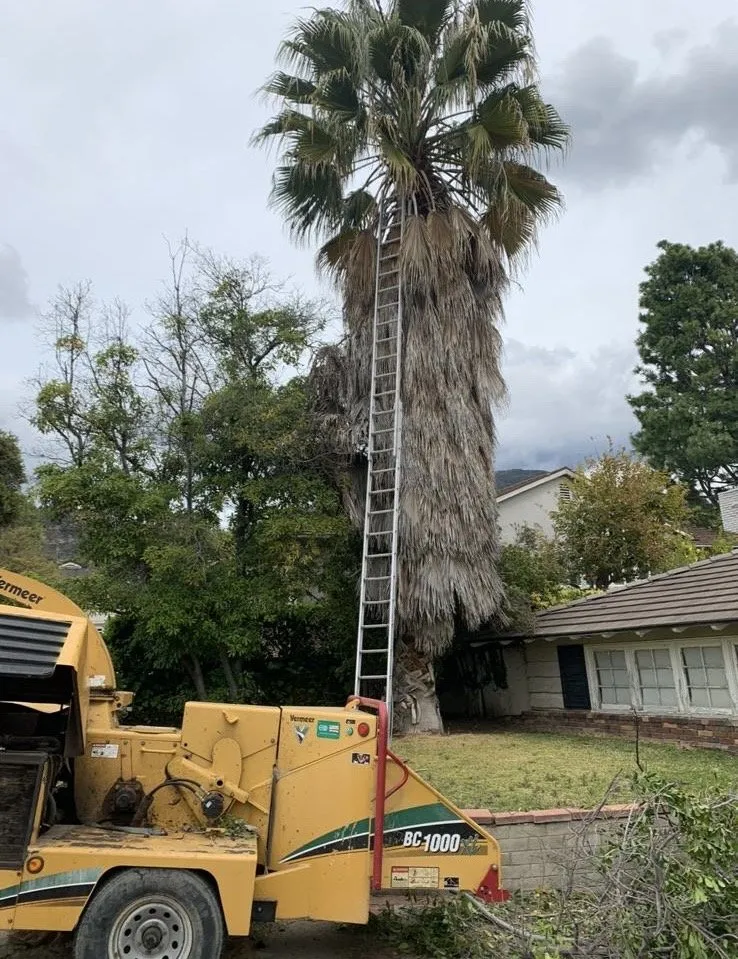 Expert landscape design for residential properties across Thousand Palms, CA - Ramírez services