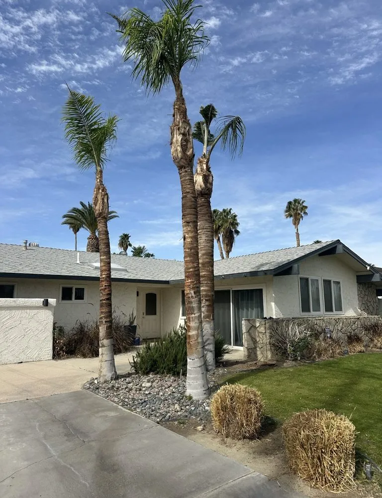 Professional landscaping services for beautiful yards in Thousand Palms, CA by Ramírez services