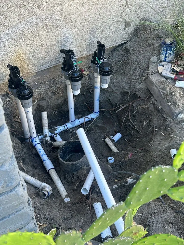 Local yard cleanup service for beautiful yards across Thousand Palms, CA - Ramírez services