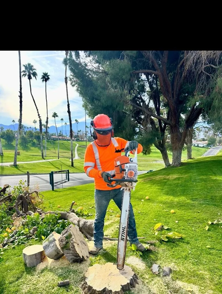 Professional landscape design in Thousand Palms, CA by Ramírez services