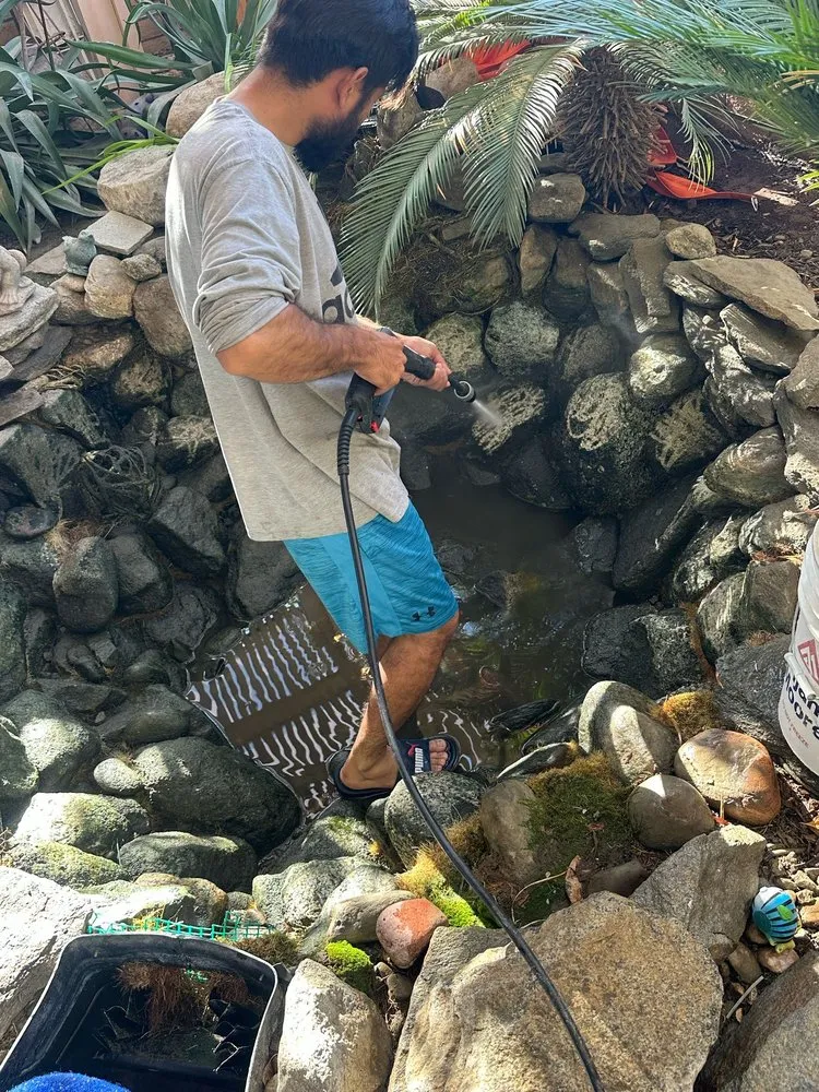 Top-rated garden landscaping experts serving Thousand Palms, CA - Ramírez services