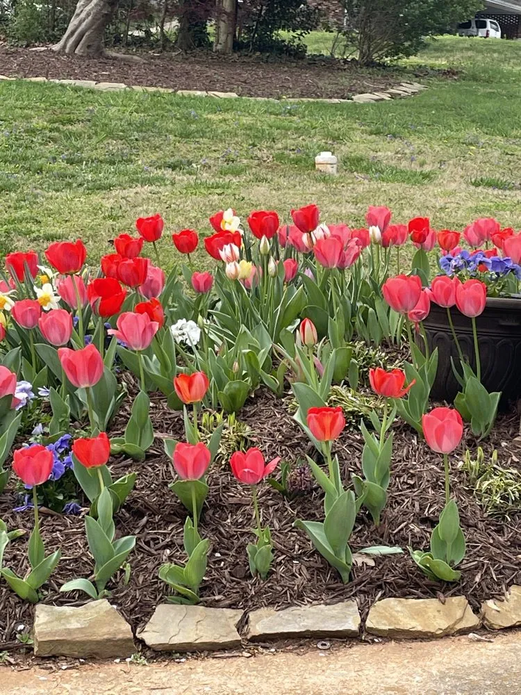 Expert residential landscaping for year-round maintenance across Marietta, GA - Rams Landscape and Grounds