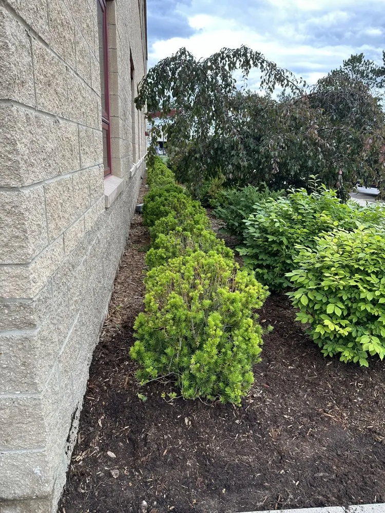Expert landscaping services in Fife Lake, MI - Rams Property Maintenance