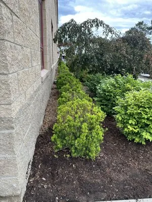 Rams Property Maintenance