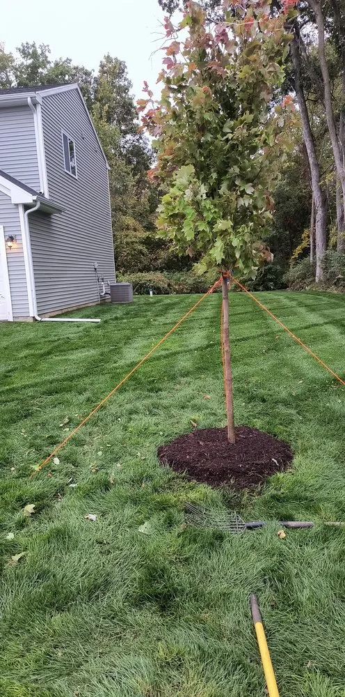 Custom landscape installation for beautiful yards across South Bend, IN - Ramsay Property Maintenance
