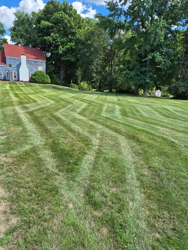 Professional landscape installation in South Bend, IN by Ramsay Property Maintenance