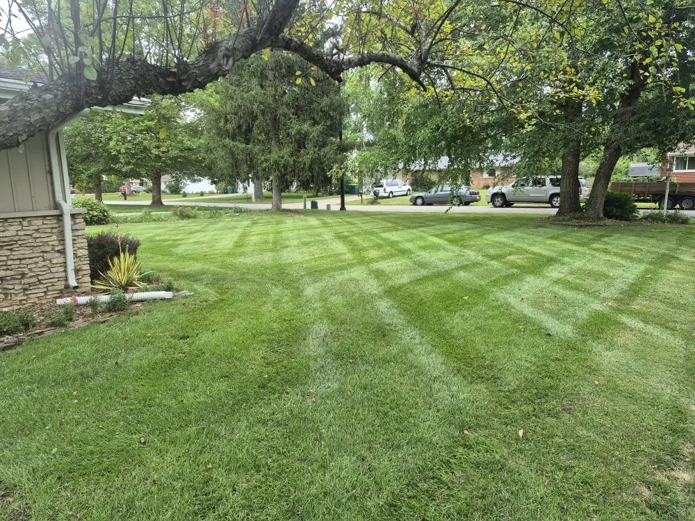 Trusted lawn mowing service experts serving South Bend, IN - Ramsay Property Maintenance