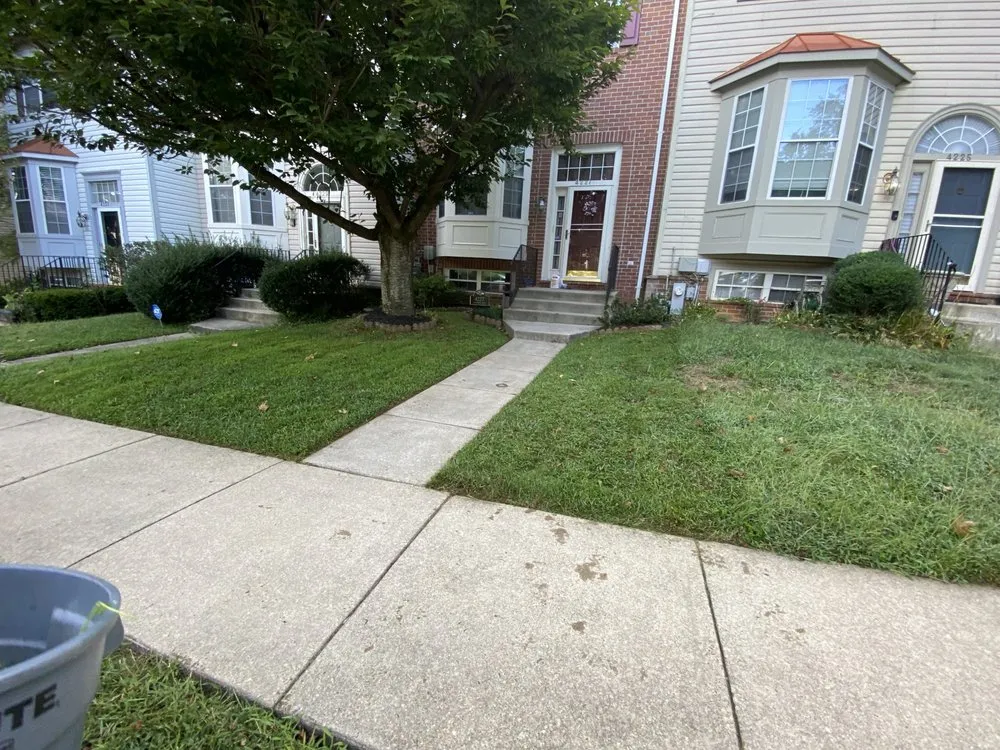 Trusted yard maintenance experts serving Reisterstown, MD - Ramscaping