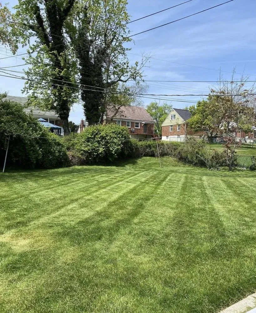 Reliable yard cleanup service in Reisterstown, MD by Ramscaping