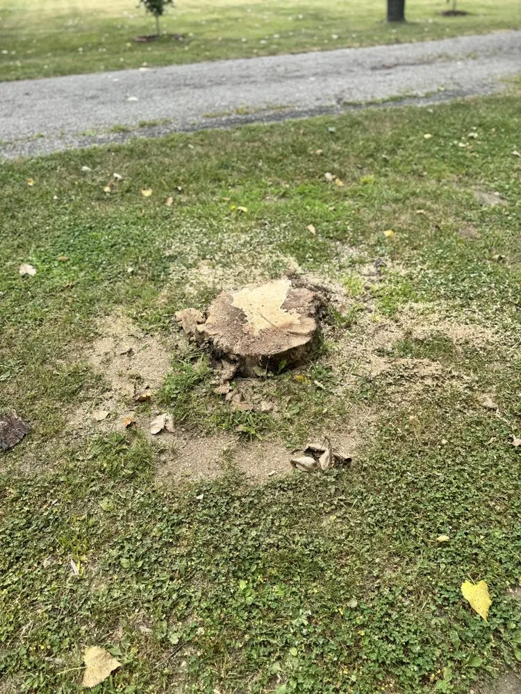 Affordable landscaping services experts serving Carleton, MI - Ramsey Landscaping