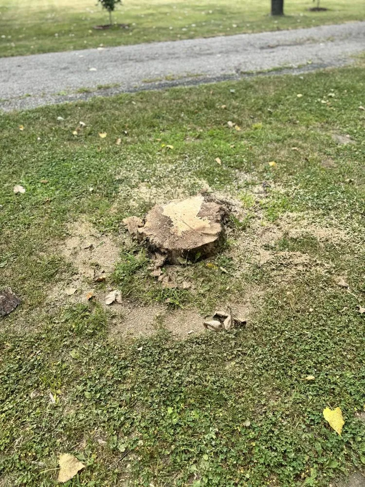 Professional landscape design experts serving Carleton, MI - Ramsey Landscaping