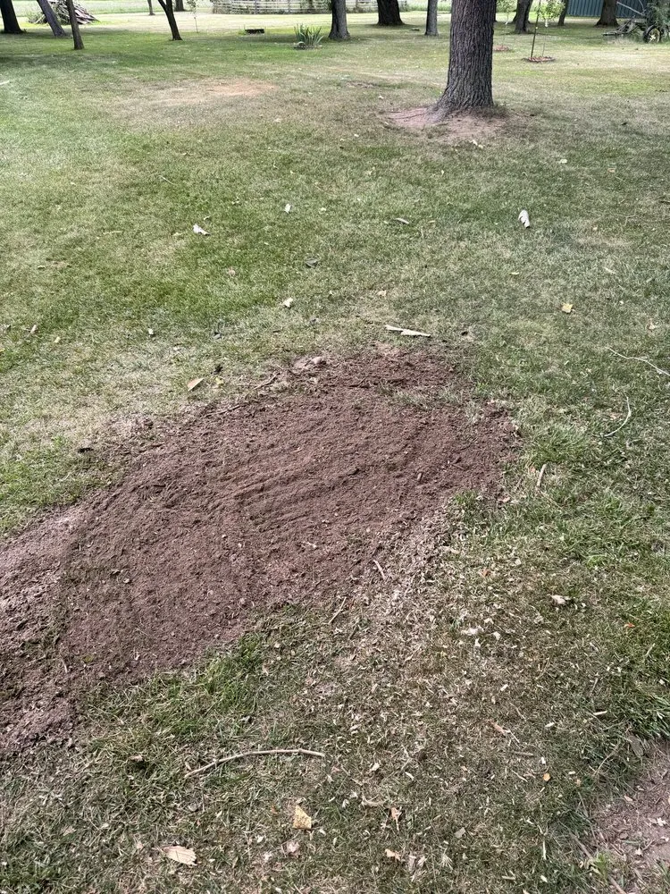 Local landscape design in Carleton, MI - Ramsey Landscaping