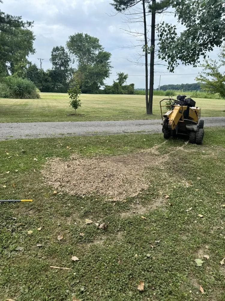 Professional outdoor landscaping experts serving Carleton, MI - Ramsey Landscaping