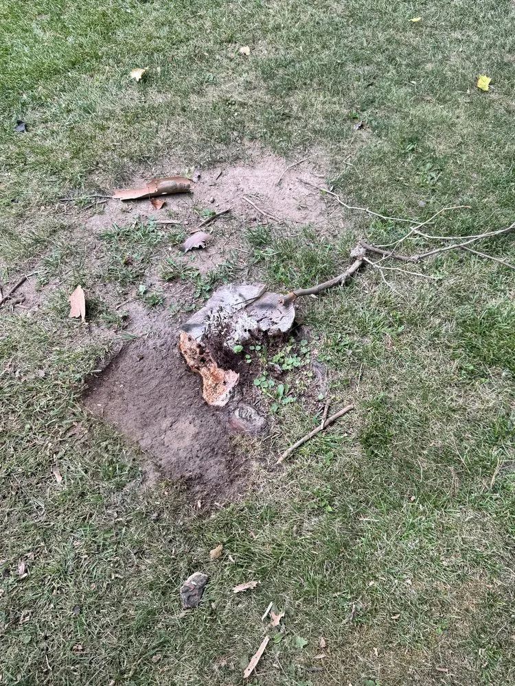 Expert residential landscaping in Carleton, MI - Ramsey Landscaping