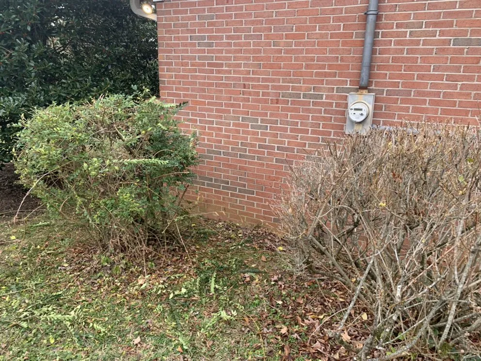 Reliable lawn care service in Murfreesboro, TN by Ramsey Lawn Care