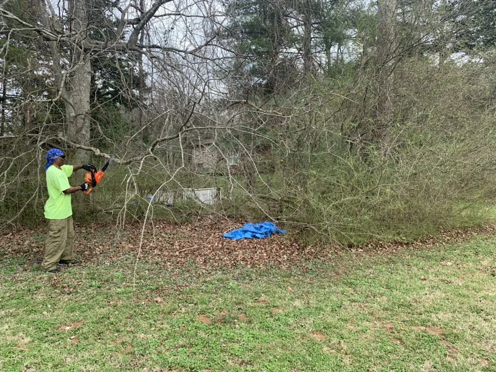 Affordable yard maintenance experts serving Murfreesboro, TN - Ramsey Lawn Care