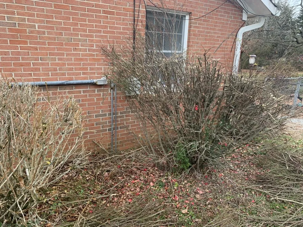 Top-rated outdoor landscaping near you across Murfreesboro, TN - Ramsey Lawn Care