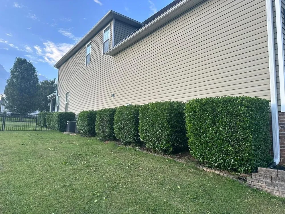 Trusted garden landscaping in Greenville, SC - Ramsey Lawn Care Services