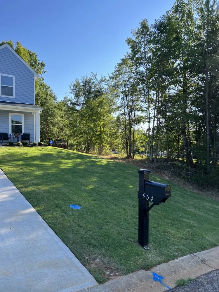 Top-rated landscaping services experts serving Greenville, SC - Ramsey Lawn Care Services