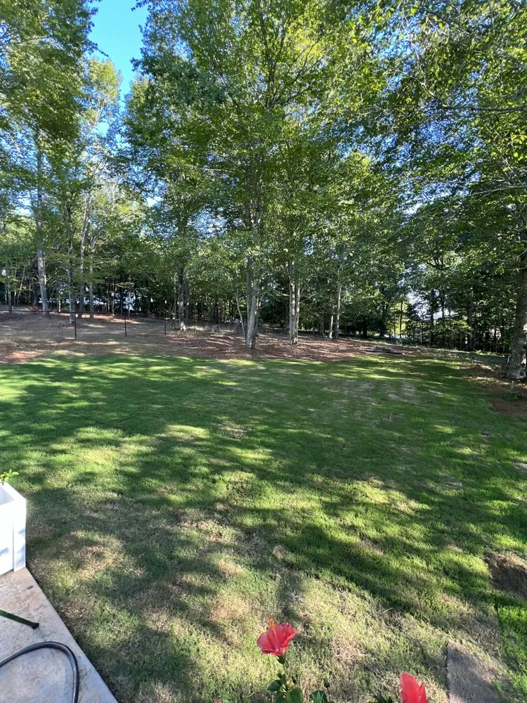 Top-rated outdoor landscaping near you across Greenville, SC - Ramsey Lawn Care Services