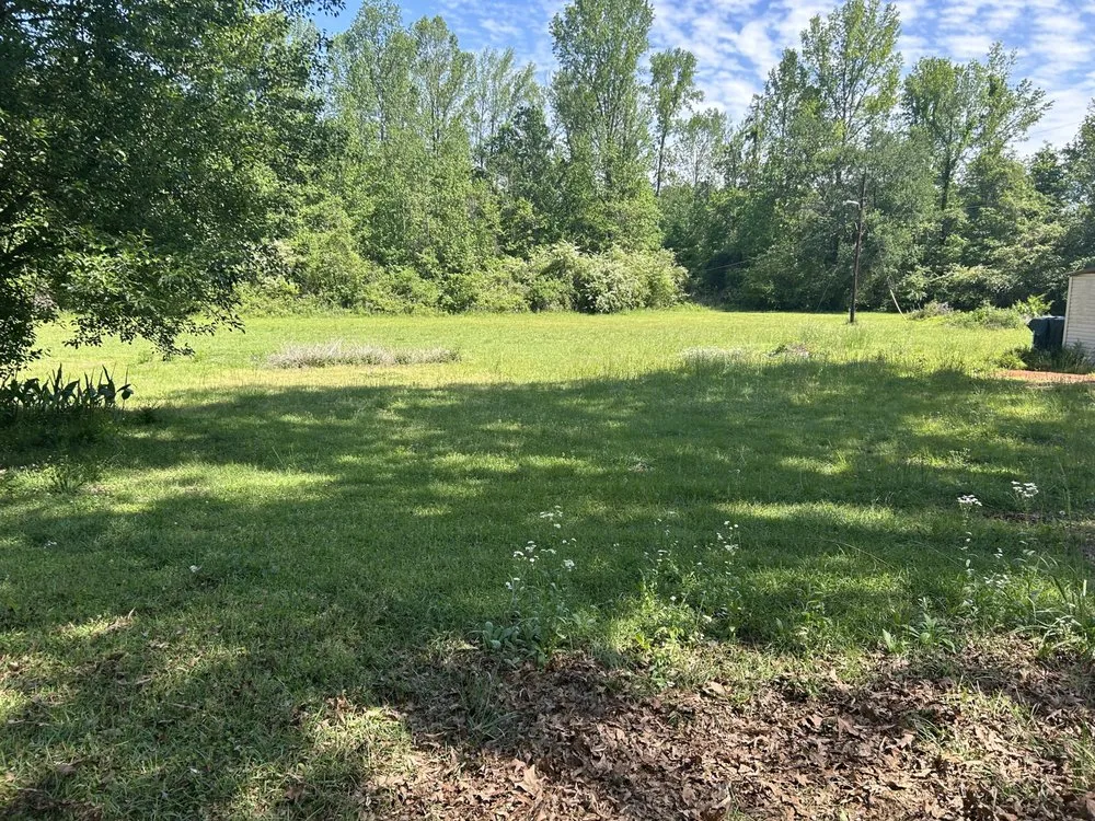 Affordable lawn care service in Pell City, AL - Ramsey Lawn Service