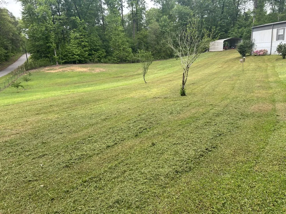 Expert lawn mowing service for beautiful yards across Pell City, AL - Ramsey Lawn Service