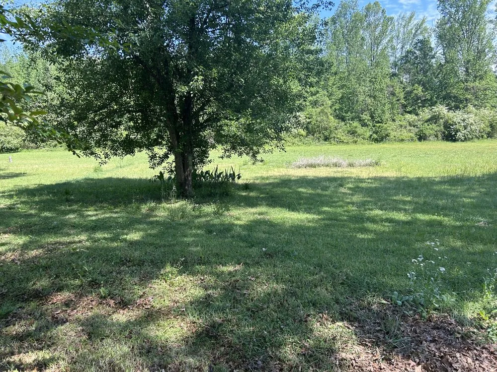 Custom yard cleanup service in Pell City, AL by Ramsey Lawn Service