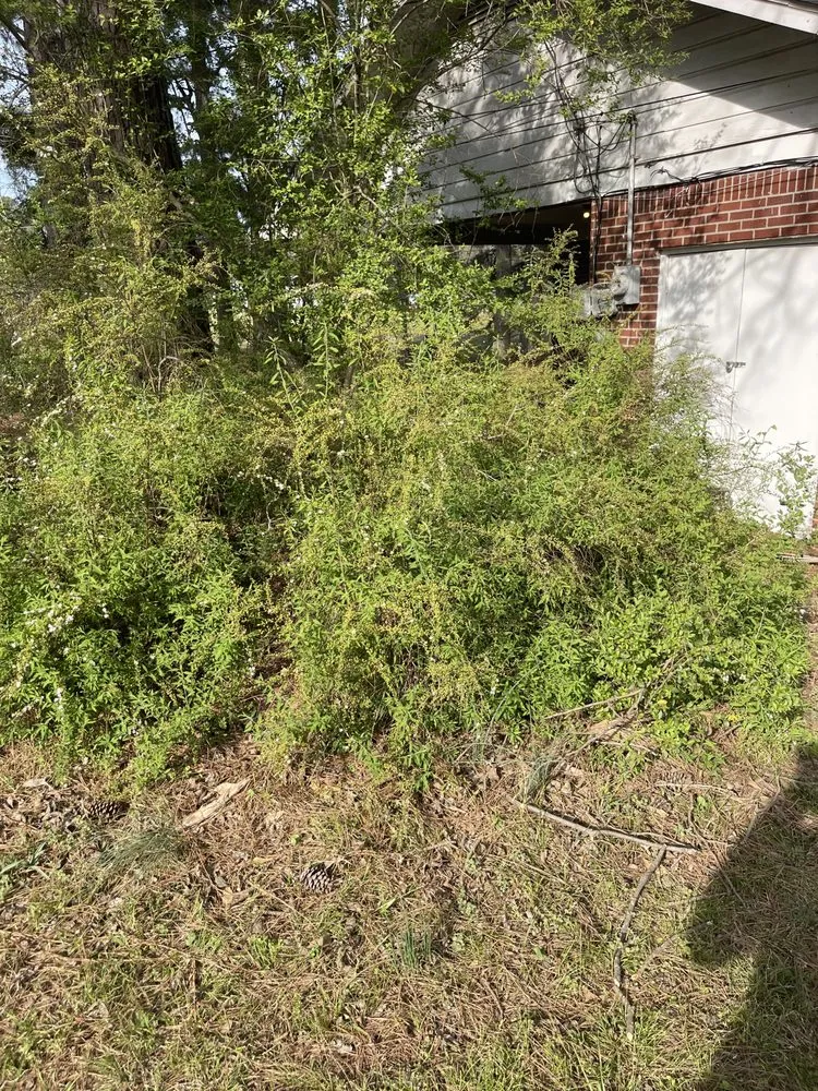 Expert residential landscaping for beautiful yards across Senatobia, MS - Ramsey Lawn Service