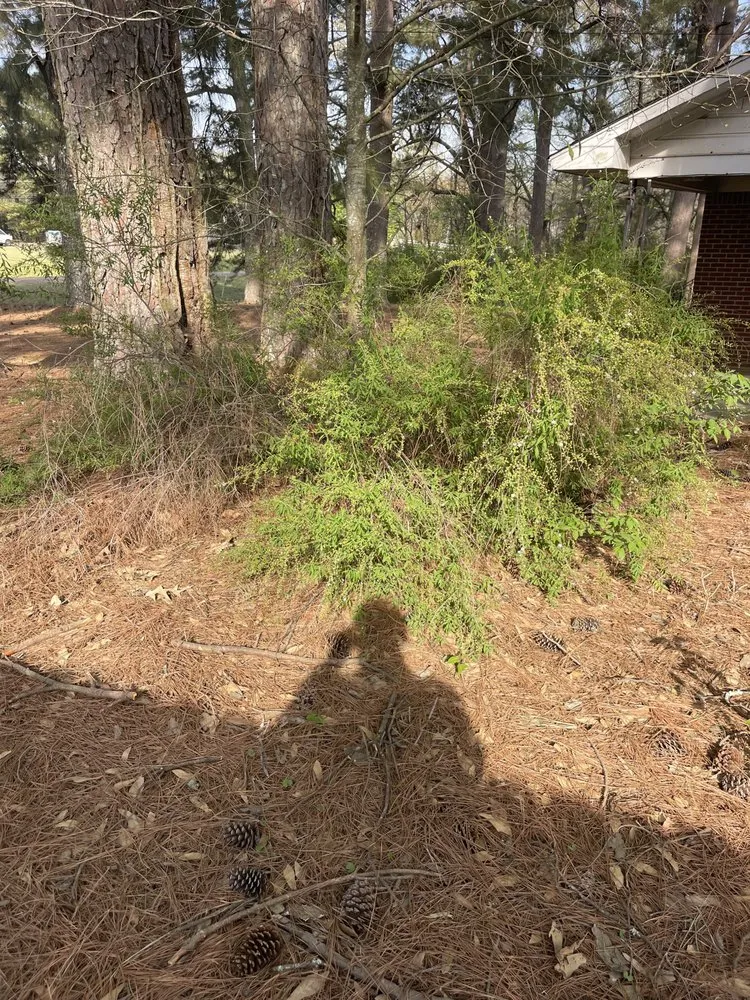 Local landscaping services near you across Senatobia, MS - Ramsey Lawn Service