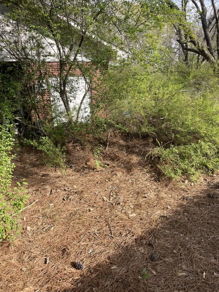 Affordable residential landscaping in Senatobia, MS by Ramsey Lawn Service