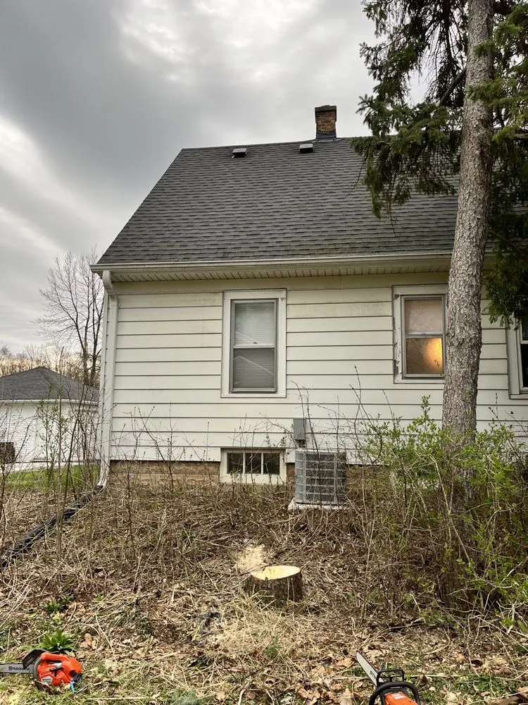 Reliable yard cleanup service for outdoor upgrades in Milwaukee, WI by Ramsey Merger