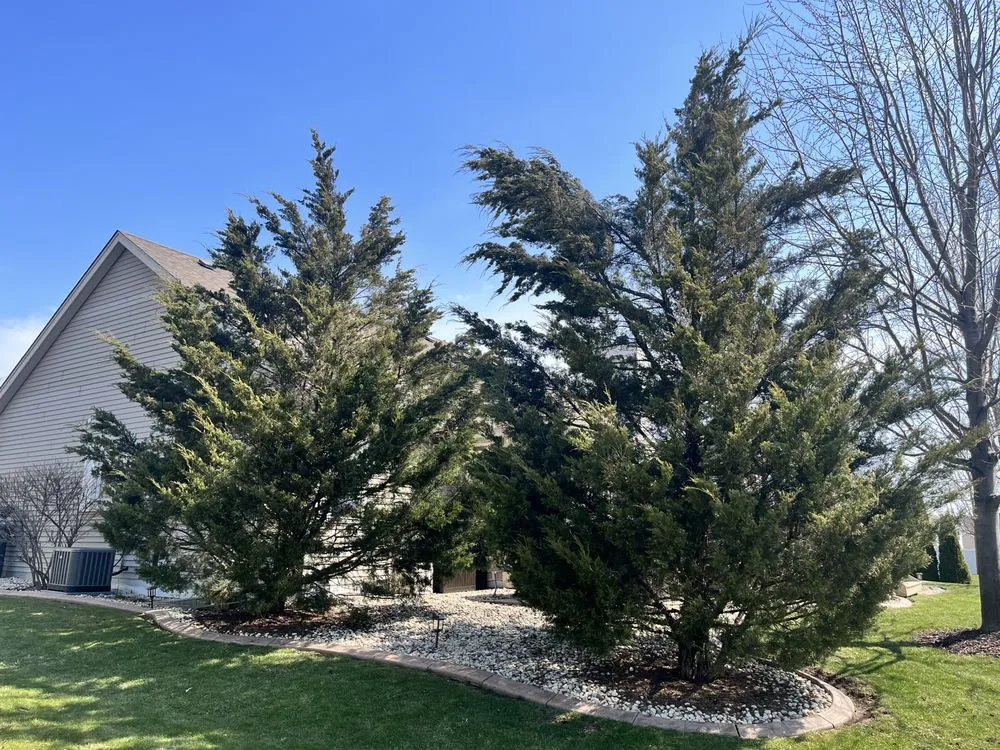 Local lawn care service in Milwaukee, WI by Ramsey Merger