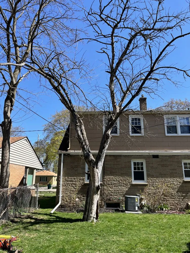 Trusted landscaping services for outdoor upgrades in Milwaukee, WI by Ramsey Merger