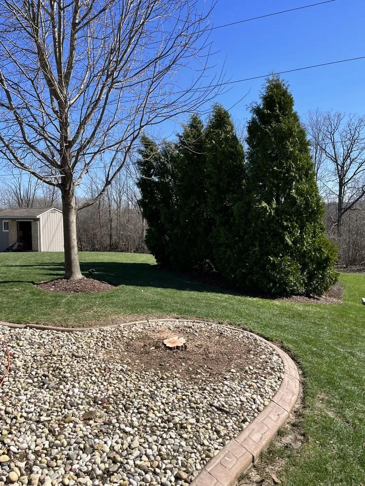 Reliable yard cleanup service for residential properties in Milwaukee, WI by Ramsey Merger