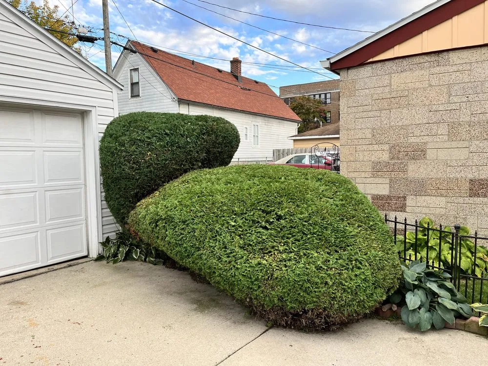 Expert landscape installation for beautiful yards across Milwaukee, WI - Ramsey Merger