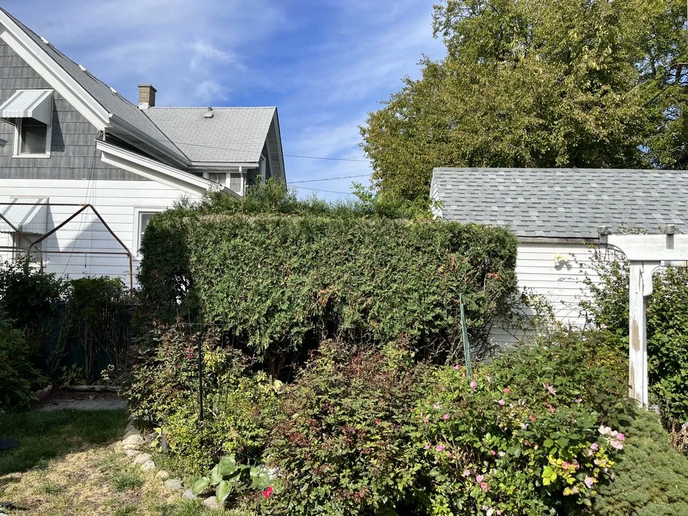 Reliable residential landscaping for year-round maintenance in Milwaukee, WI by Ramsey Merger