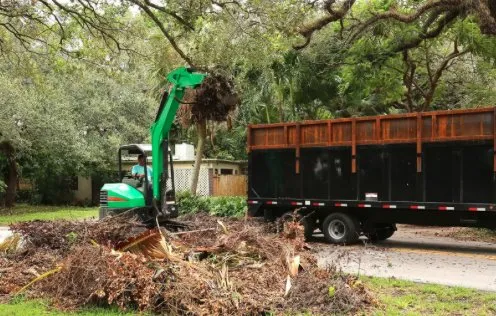 Custom lawn care service for homes across Joshua, TX - Ramsey's Enterprises