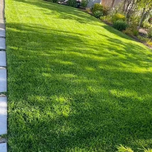 Top-rated landscape design in Joshua, TX by Ramsey's Enterprises