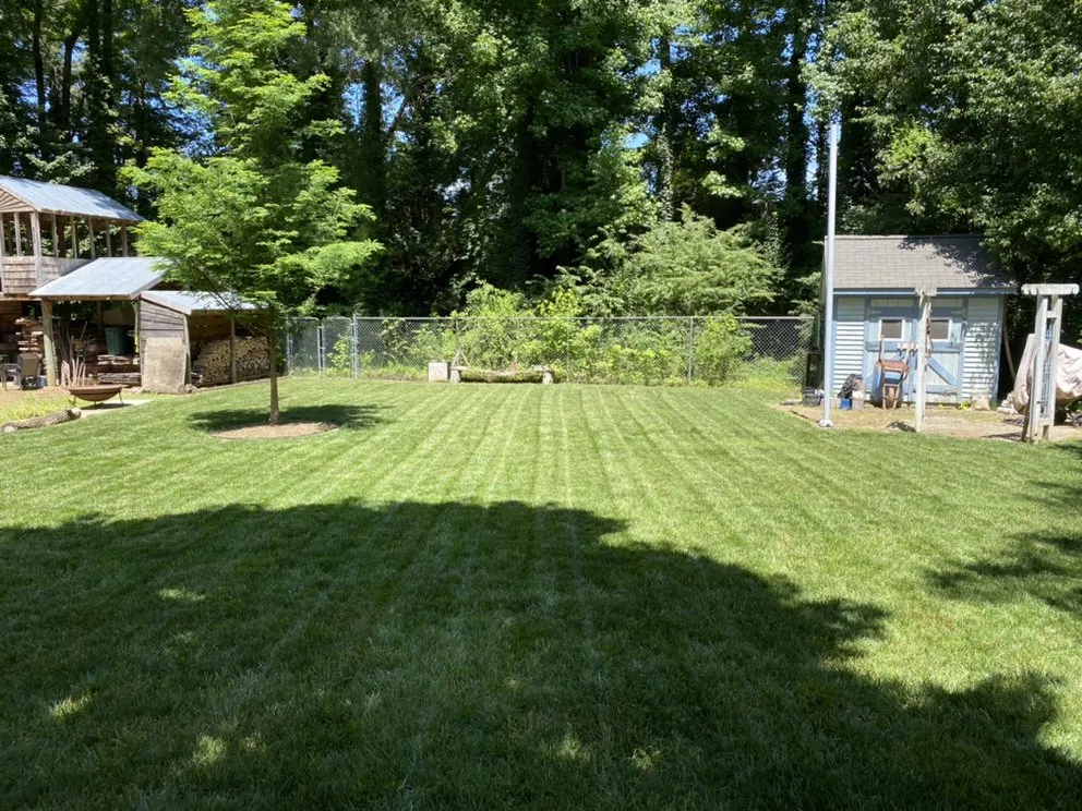 Expert yard cleanup service in Cary, NC by Ramsey’s Lawncare Services